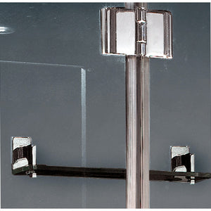 Platinum DZ972F8 Walk In Steam Shower